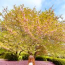 회수동-6 이미지