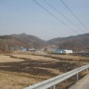 황방2리 Daum카페