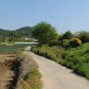 임자공인중개사사무소 이미지