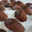 빈스브루 이미지