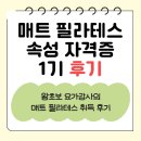 요가&매트필라테스 | [매트필라테스 자격증 후기] 초보 요가 강사의 단기 속성 자격증 과정 +꼼꼼 후기+