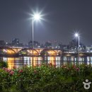한강시민공원 난지지구(난지한강공원) 티스토리