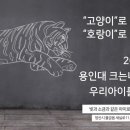 용인대 크는나무 태권도장 이미지