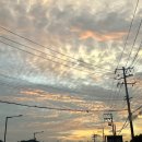 건행펜션 | [철원·포천] 촌캉스 펜션 &amp; 물소리 캠핑장 계곡 커플 단체여행🍉🏕️