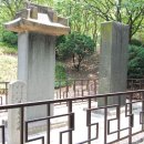 대구부수성비 이미지