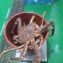 본도시락(원광대점) 이미지