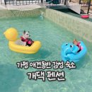가평 애견동반 펜션 개댁 감성 숙소 꿈같은 하루