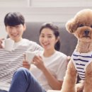 동울산동물병원 이미지