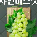 아임샤인