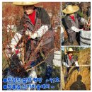 정종순농장 이미지