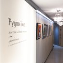 피그마리온의원 이미지