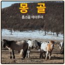 사람 조형물(여자) | 여자 혼자 몽골 No패키지 4탄｜하트갈 데이투어 후기, 얼어붙은 홉스골 호수