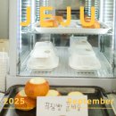 바다팩솝 | 우무솝 제주공항 위치 푸딩빵 비누 핸드크림 팩 가격 후기