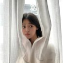 민지커텐 네이버블로그