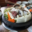 조가네 갑오징어 이미지