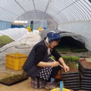 신무농장 이미지