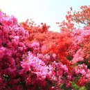 완산-4 이미지