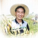 [세계 10대 슈퍼푸드 &#39;귀리&#39;] 정읍 명품귀리 소비자 체험행사