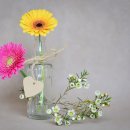 가평행정사 이미지