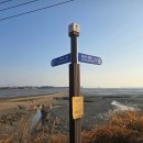 황토갯벌랜드1 이미지