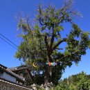 임실향교대성전 이미지