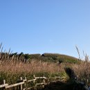 증산-017 이미지