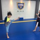 나토얀태권도장 이미지