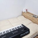 (주)제레스 | 야마하 mx88 한달후기 (발로친 연주)