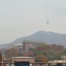 참이촌 | 국중박 굿즈 뮷즈 국중박 근처 맛집 오통영 이촌점 내돈내산 솔직후기