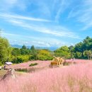 수피아관광농원 이미지