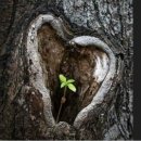 코리아일보 부천뉴스 인천뉴스 경기뉴스 정치이슈 시민분노 이슈 경실련 시민단체 개혁요구 등 이미지