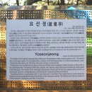 무릉요선
