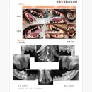 목동찬동물의료센터 이미지