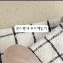 올라솔 이미지