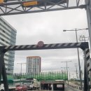 벌교동물병원 | 광주장거리택시 광주에서 벌교택시비 예약 호출 알아보기