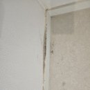 하이빌현대아파트 | 강릉 현대하이빌 리모델링 후 입주청소 | 공사분진 제거 &amp; 바닥 기계세척