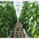 거제면사무소 이미지