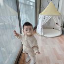 준호헤어숍 | 12개월 아기 헤어숍들, 솔직 후기