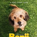 벤지 4 - 돌아온 벤지 ( Benji: Off The Leash! , 2004 ) 이미지