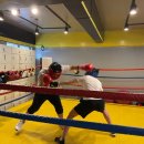 성산복싱체육관 이미지