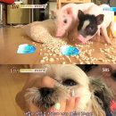 우정농장 이미지