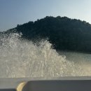 코이호텔 이미지