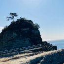 바람의언덕 이미지