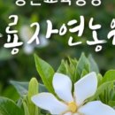 공룡자연농원