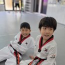 늘품 태권도장 이미지