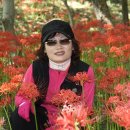 영광상사 이미지