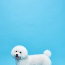 하푸스튜디오 이미지
