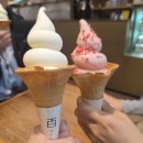 오늘은어떤닭 네이버블로그