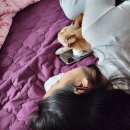 석화헤어샵 | 오늘까지 간만에 일상