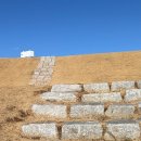 박물관역(타고가야) | 매화꽃이 활짝 핀 <대성동고분군>에서 강아지랑 산책하기 / 강아지 산책시 주의사항, 자전거 금지구역 공유